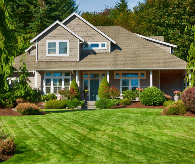 شركة لاندسكيب في عجمان